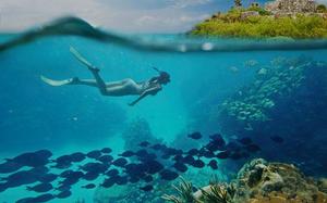 Imagen HEADER de fondo peque�a