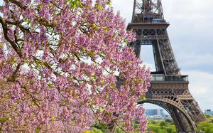 Tour Eiffel en primavera
