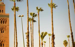 Marrakech HEADER de fondo grande