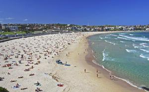 Bondi Beach