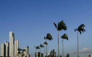 Imagen HEADER de fondo peque�a