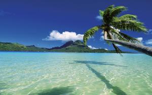 Bora Bora tropical