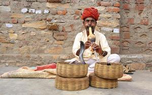 Encantador de serpientes