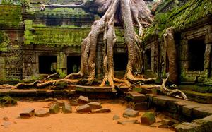 Ta Phrom