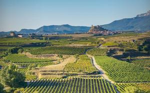 Imagen HEADER de fondo grande