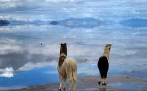 Salar de Uyuni