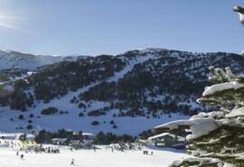 Grau Roig