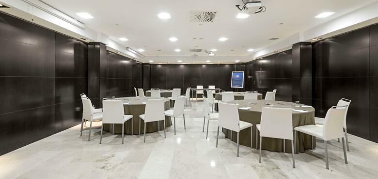 Hotel NH Madrid Pr�ncipe De Vergara
