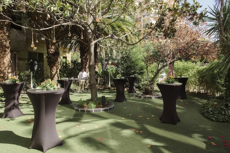 Hotel Princesa Plaza Madrid