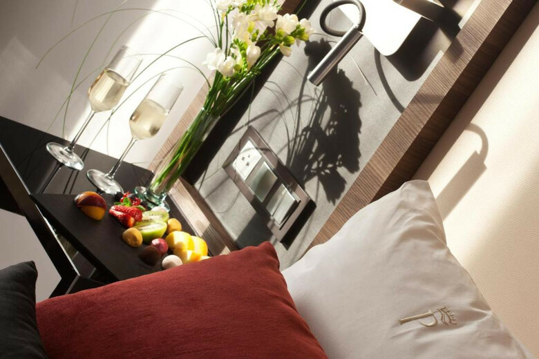 Hotel Princesa Plaza Madrid