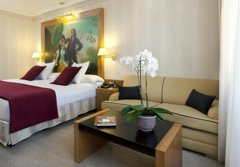 Hotel Princesa Plaza Madrid