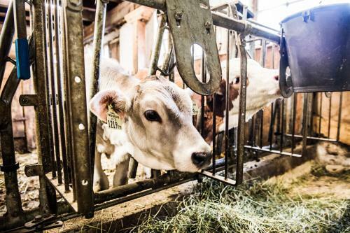 Apartamento S'landhaus