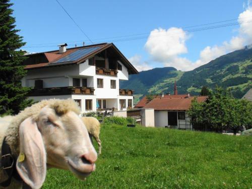 Hostal G�stehaus Treichl