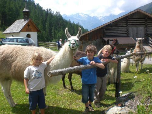 Apartamento Alpin Appart