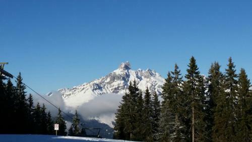 Apartamento Ferienwohnungen Vierthaler