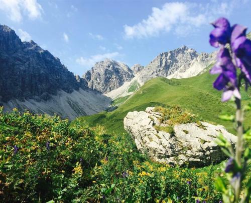 Hostal Haus Alpenecho