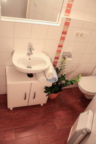 Pro's Apartment