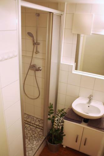 Pro's Apartment