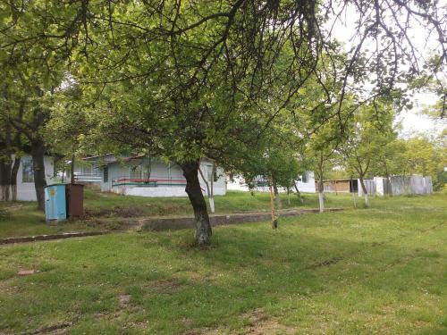 Hotel Elit Holiday Village