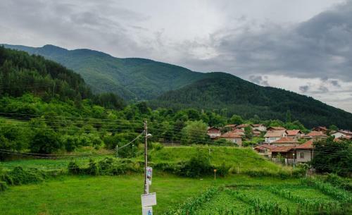 Hostal Guest House Joji