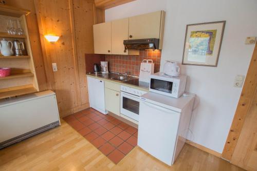 Waterfront Apartments Zell Am See - Steinbock Lodges
