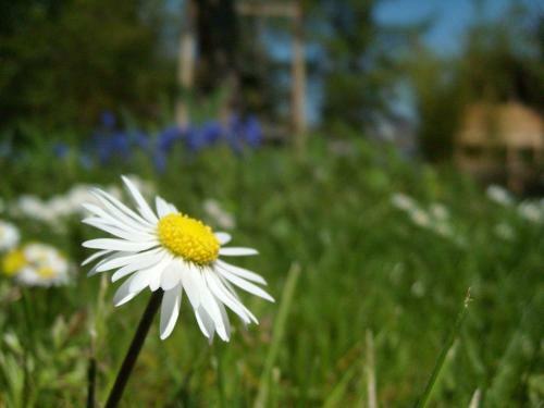 Apartamento Weingut- G�stezimmer Marko