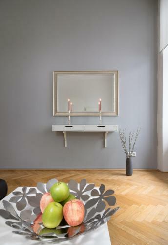 Apartamentos Central Vienna-living
