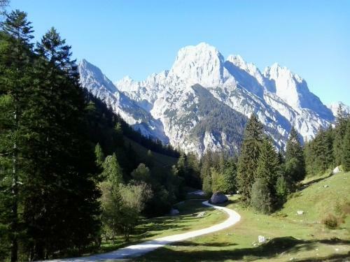 Apartments Saalachtal