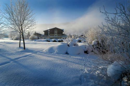 Hotel Zum Jungen R�mer