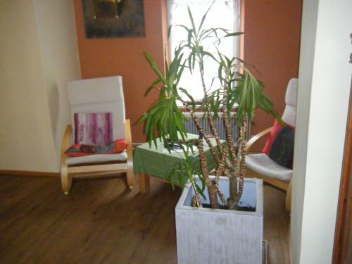 Hostal Gasthaus Hinterbr�hl
