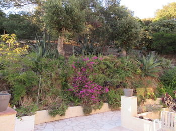 Bed & Breakfast Villa Tricoli