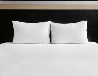 Hotel Holiday Inn Solihull