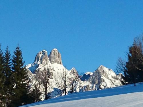 Apartamento Haus Ellbrunn