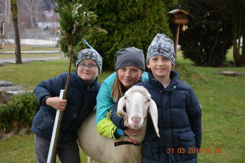 Hostal Apart-pension Wesenauerhof
