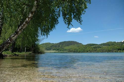 Hostal Apart-pension Wesenauerhof