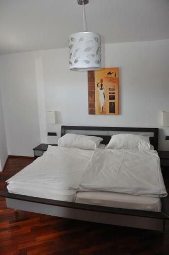 Apartamento Chalet Cityxpress Zell Am See