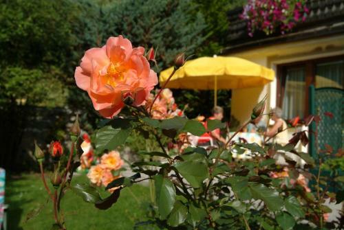 Hostal Pension Maria