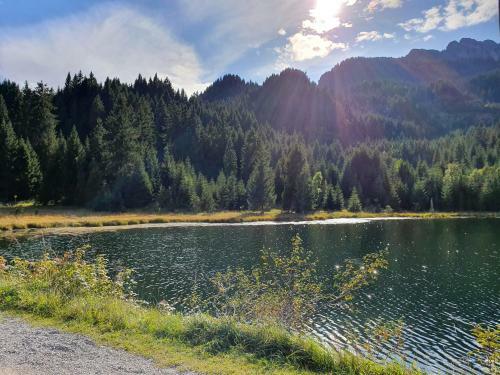 Apartamento Alpenhof