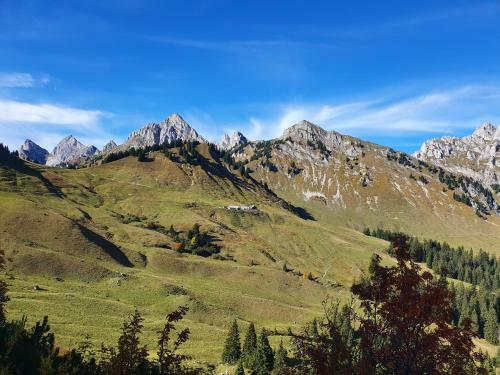 Apartamento Alpenhof