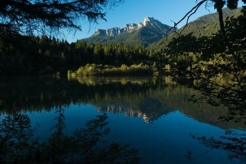 Apartamento Alpenhof