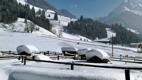 Agroturismo Pau�hof