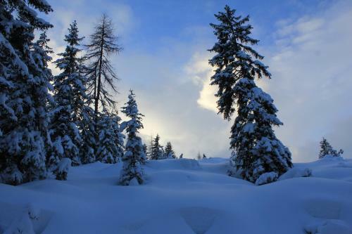 Apartamento Appartements Alpenland