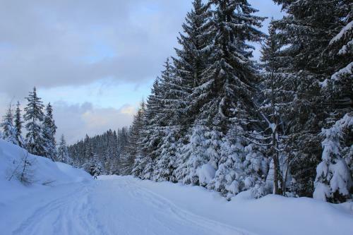 Apartamento Appartements Alpenland
