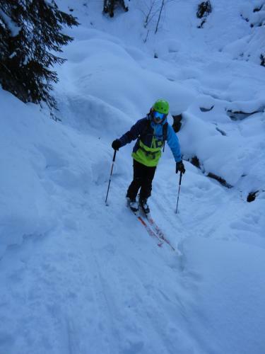 Apartamento Appartements Alpenland