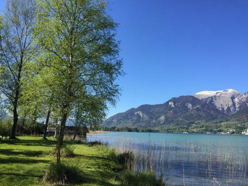Apartamento Appartements Im Forsthaus