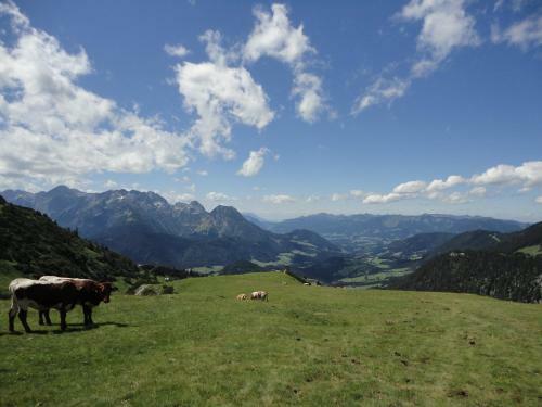 Apartamento Ferienwohnung Ronacher
