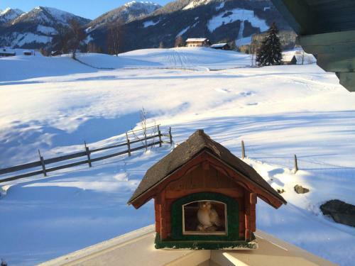 Apartamento Appartement Alpenblume
