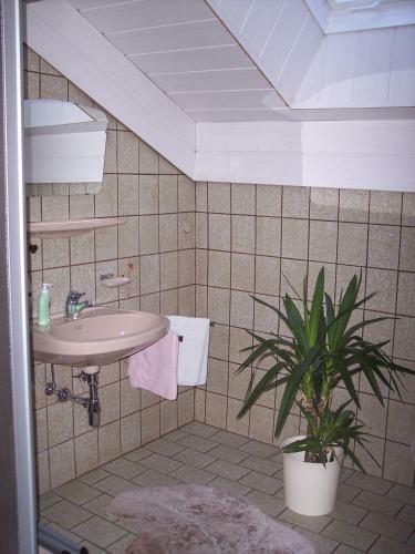Hostal G�stehaus Bruggerhof