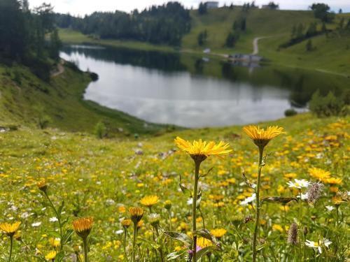 Hotel Berghof Tauplitzalm