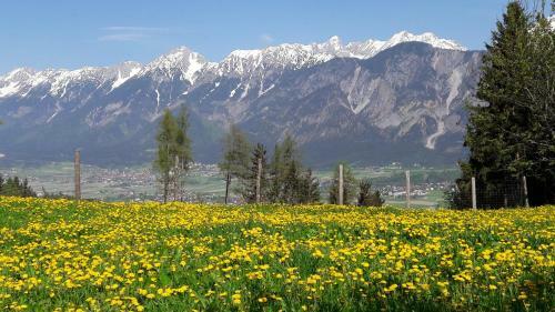 Apartments Feichtner / Tulfes / Tirol